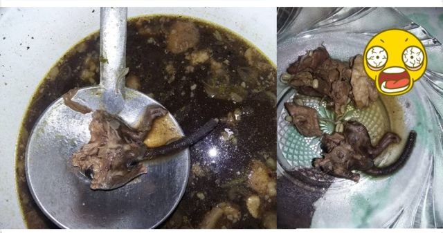 Pastikan Tiada ‘Mahkluk Asing’ Nyasar di Makanan yang Siap Kamu Santap. Kian Banyak Lho Kasus Begini