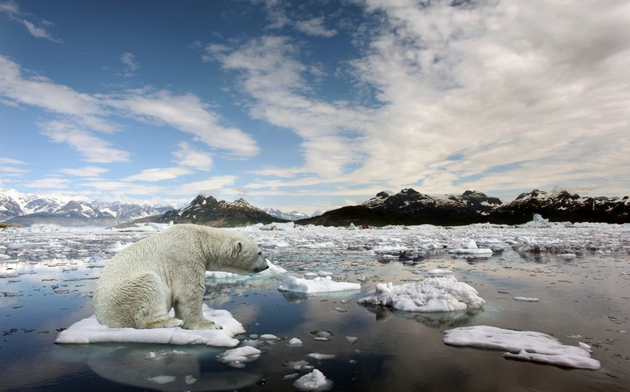 7 Cara Terakhir untuk Selamatkan Bumi dari Global Warming. Banyak yang Bilang Sudah Terlambat,