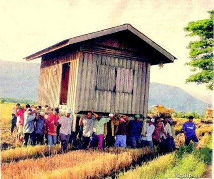 budaya baru berarti wawasan baru