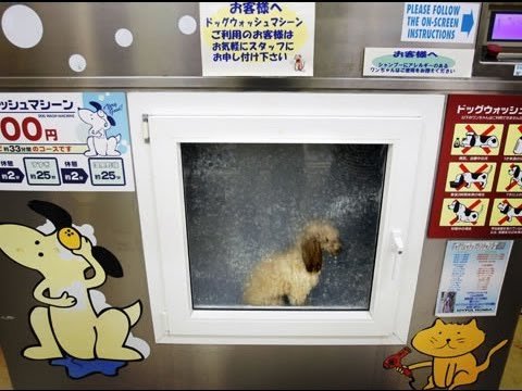 Nggak Cuma Jualan Soda, Semua Dijual Lewat Vending Machine di Jepang. Ini 18 Contoh Paling Gilanya