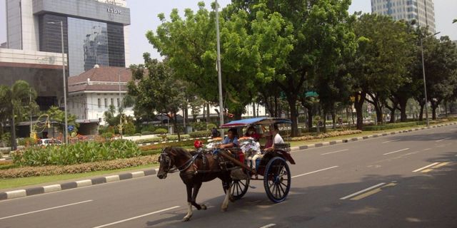 Keliling Monas Bisa Naik Delman