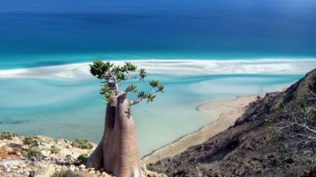 Keindahan yang Berbalut Misteri di Pulau Socotra. Dijuluki Pulau Alien, Konon Dajjal Dikurung di Pulau Ini!