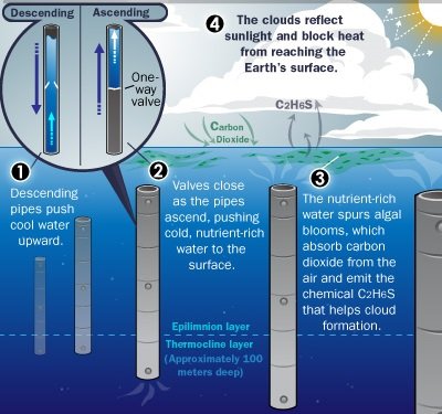 7 Cara Terakhir untuk Selamatkan Bumi dari Global Warming. Banyak yang Bilang Sudah Terlambat,