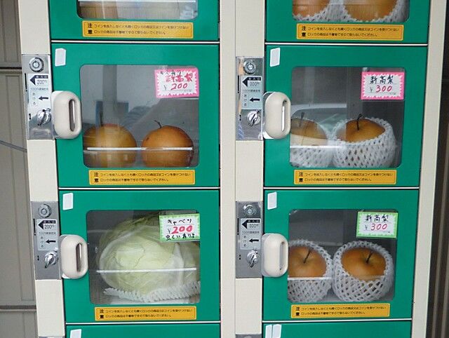 Nggak Cuma Jualan Soda, Semua Dijual Lewat Vending Machine di Jepang. Ini 18 Contoh Paling Gilanya