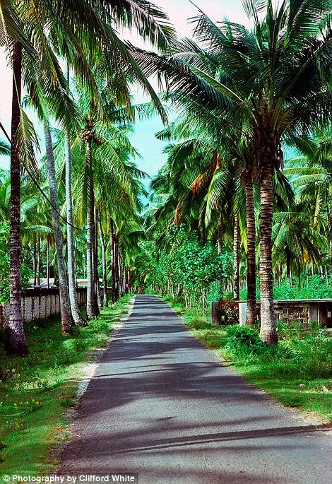 Parade Foto Bali Tempo Doeloe Sebelum Dipenuhi Wisatawan. Wah Adem Banget ya Suasananya!