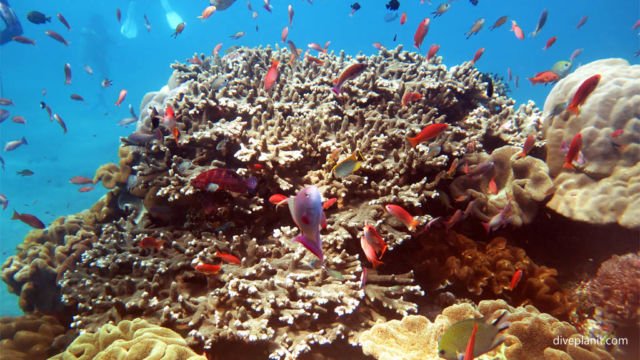 10 Surga Tersembunyi di Bali yang Pesonanya Luar Biasa. Segeralah Berlibur Bersama Pasangan ke Sana!