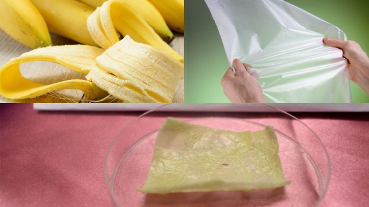 Wow! Demi Atasi Masalah Lingkungan, Mahasiswa Brawijaya Bikin Plastik Berbahan Kulit Pisang