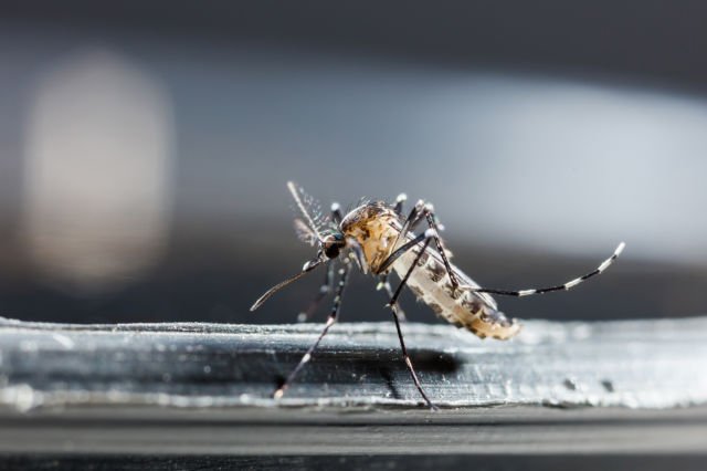 12 Foto Korban Zika Ini Sungguh Memilukan. Meski Situasi Darurat Sudah Lewat, Tetap Perlu Waspada