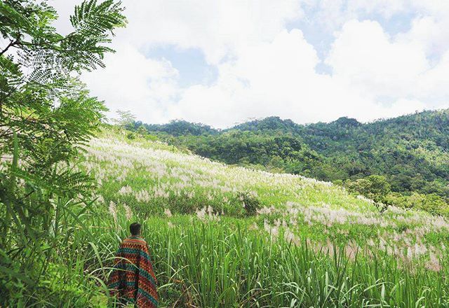 15 Destinasi Instagrammable dan Tersembunyi di Pelosok Jogja. Nyesel Kalau Nggak Main ke Sana!