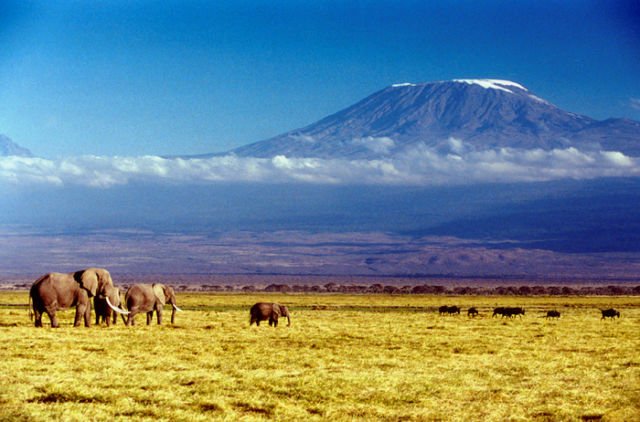 10 Destinasi Wisata yang Bakal Lenyap Dari Muka Bumi. Kunjungilah Sebelum Benar-benar Tinggal Sejarah!