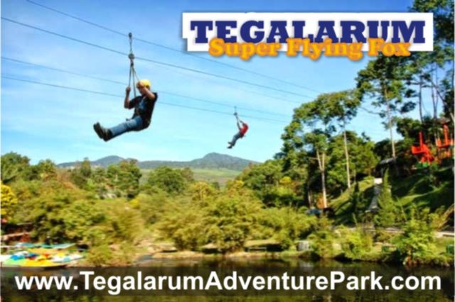 flying fox di Tegalarum