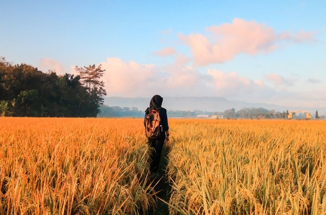 Bekerja di Daerah Terpencil Bukan Akhir dari Dunia. Justru, Inilah Keuntungannya!