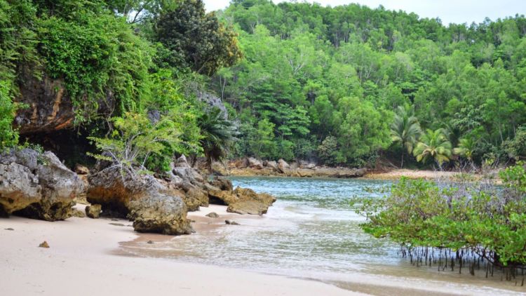 8 Alasan ini yang Akan Membuat Kamu Harus Mengunjungi Pantai Tawang Pacitan