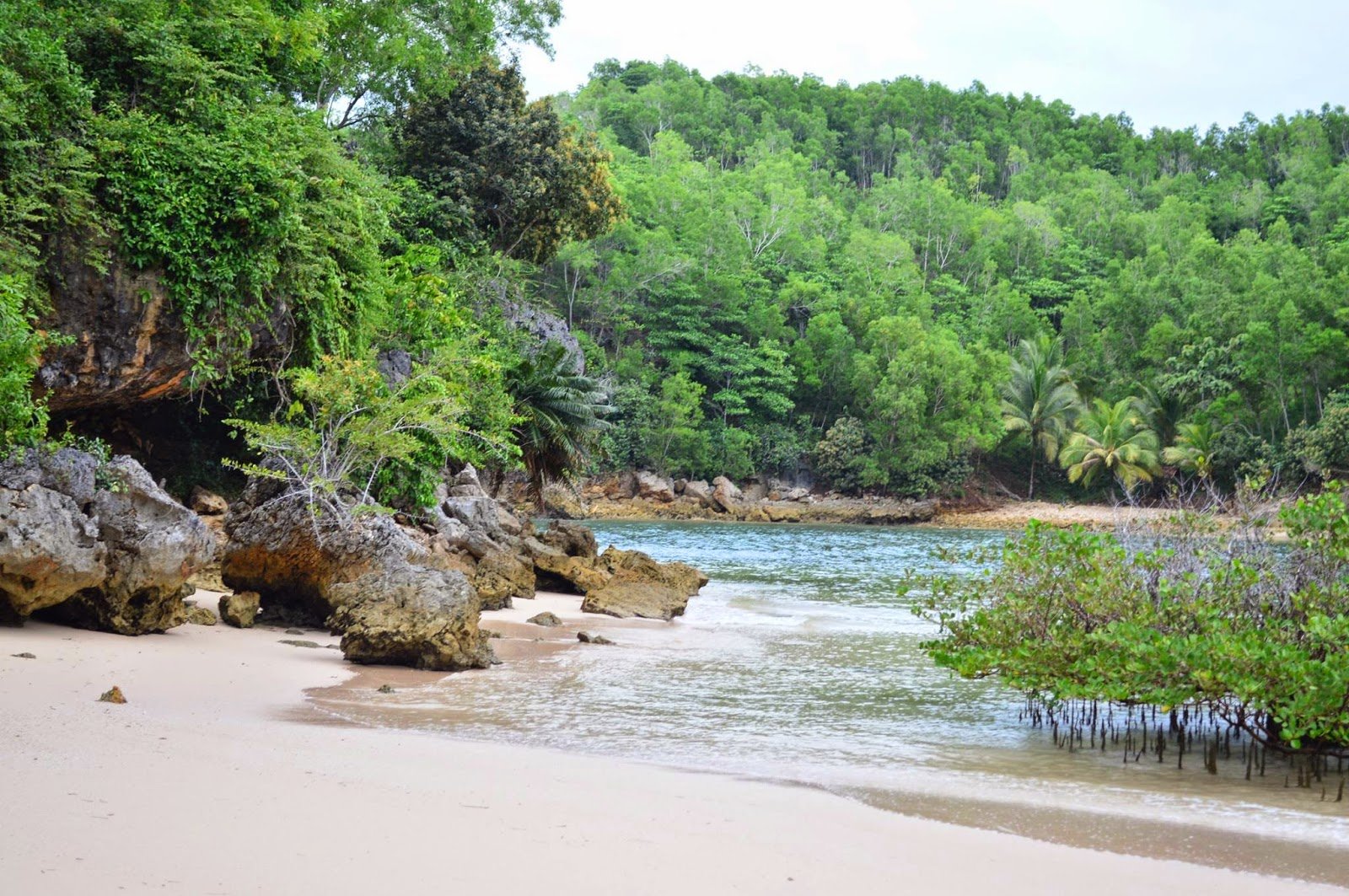 8 Alasan ini yang Akan Membuat Kamu Harus Mengunjungi Pantai Tawang Pacitan