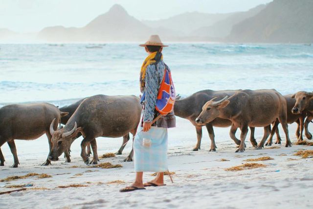 Ini Nih 7 Destinasi Hits di Lombok untuk Liburan Lebaran. Keindahan Alam yang Tak Bisa Kamu Dustakan!