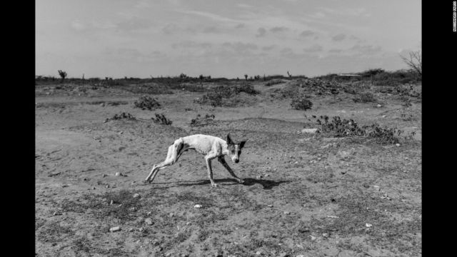 Kelaparan Tak Hanya Terjadi di Afrika. Lihatlah 14 Potret Pilu dari Negara yang Sedang Kelaparan Ini