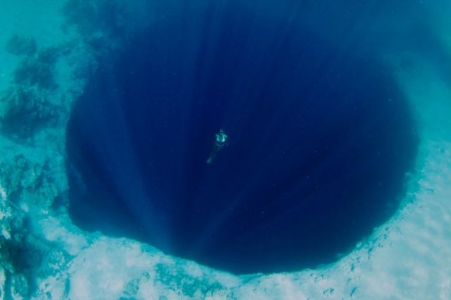 15 Foto yang Akan Membuatmu Berpikir Dua Kali Untuk Berenang Di Laut. Ngeri Juga ya Ternyata!