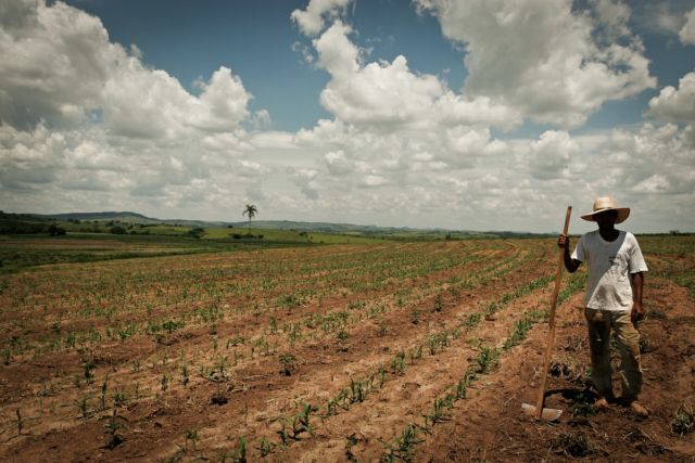 Reforma Agraria Sedang Dikebut. Ini 7 Info Soal Lahan Gratis yang Bakal Dibagikan Pemerintah