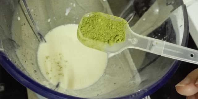 Green Tea Natural Yogurt