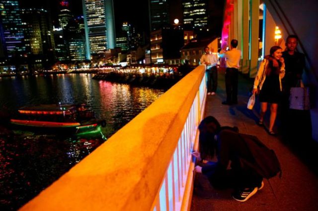 Lihat Deh Tren Terbaru di Singapura Ini! Unik, Warganya Lagi Hobi Banget Berburu & Koleksi Semut