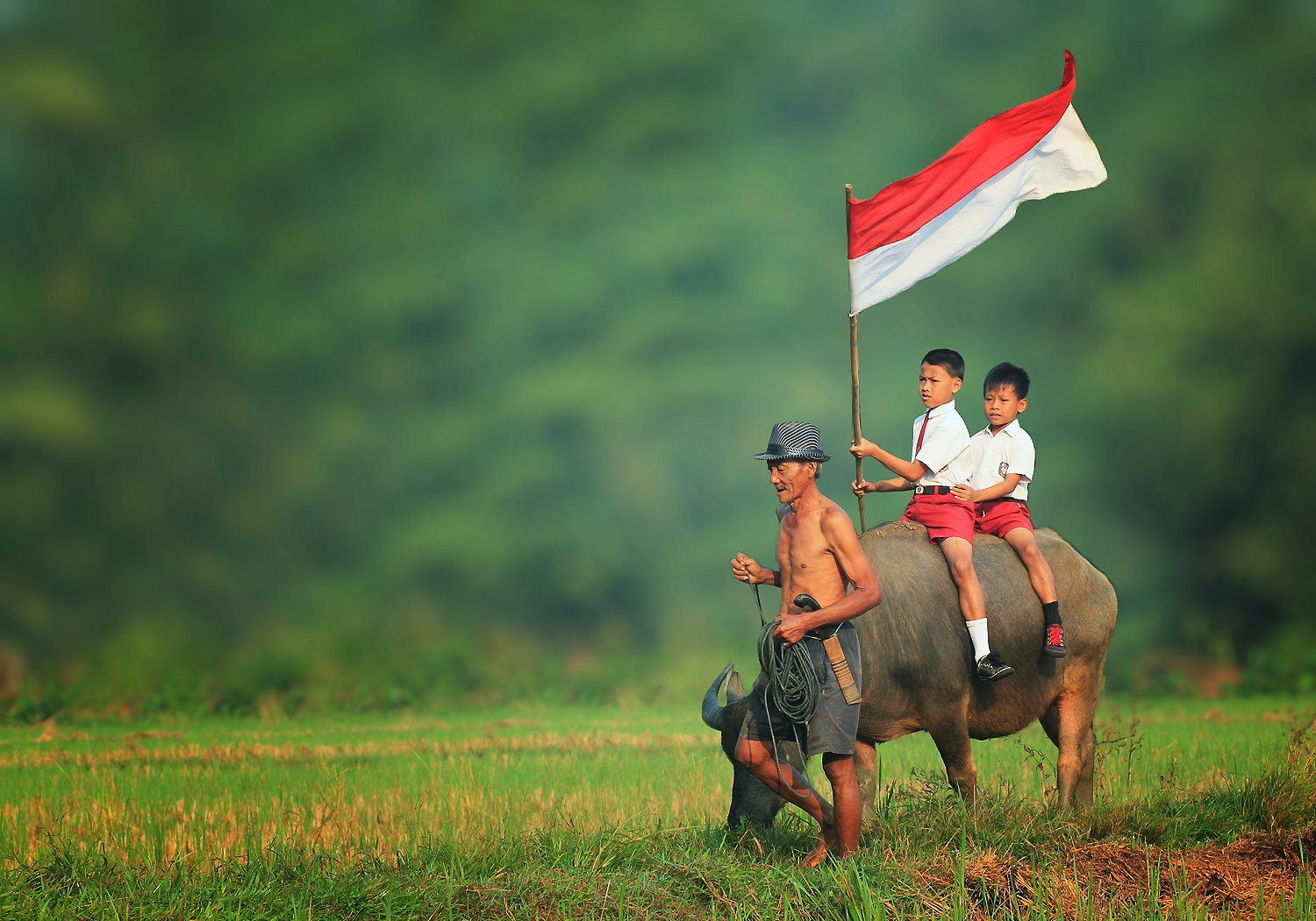 Sudahlah Indonesiaku, Kembalilah Bersatu, Lupakan Kubu-berkubu, Agar Kita Bergerak Maju!