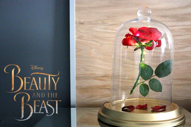 DIY Beauty and The Beast Enchanted Rose