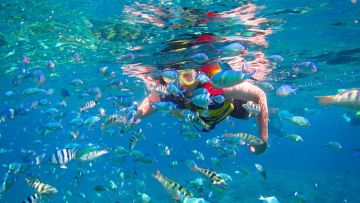 10 Tips Buat Kamu yang Baru Ingin Mencoba Snorkeling di Laut. Nggak Serem Kok!