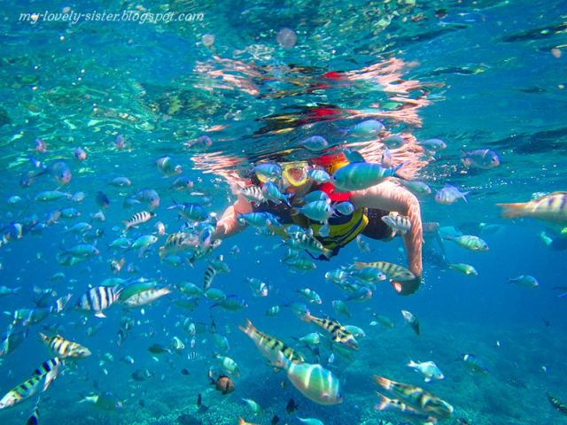 Snorkeling Dan Memberi Makan Ikan