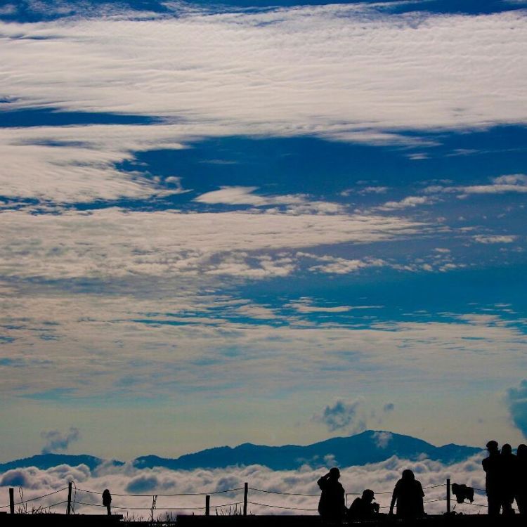 Nggak Cuma Dieng Aja, Tana Toraja Juga Punya Negeri di Atas Awan yang Keren Memesona!