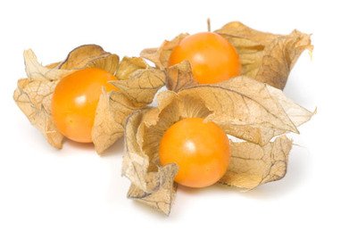 Physalis