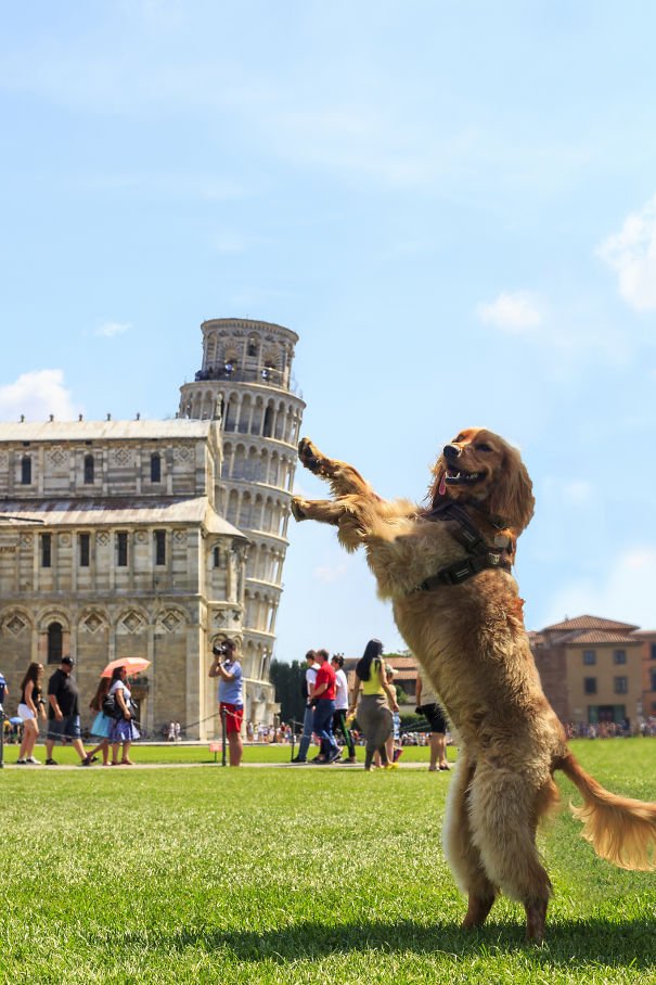 10 Teknik Berfoto di Menara Pisa yang Unik dan Nggak Biasa. Kreatif Sekali Turis-turis Ini!