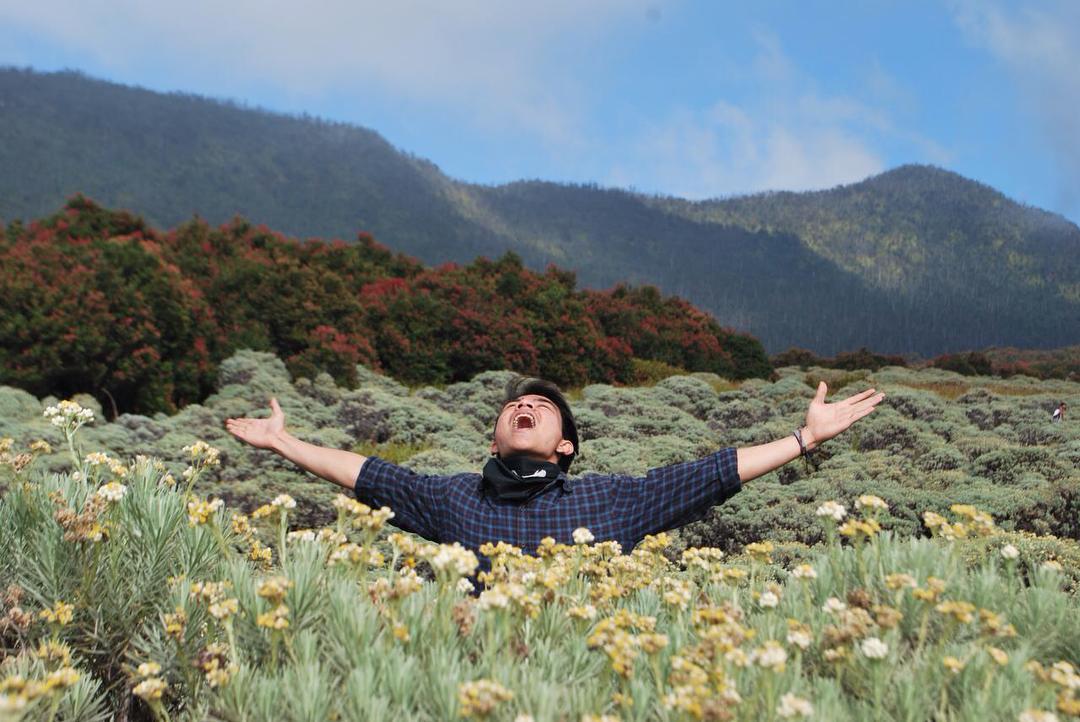 Meski Namanya Bule, Bunga Edelweiss Ternyata Spesial Banget Lho Buat Indonesia! Cek Deh Faktanya