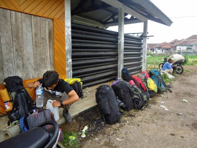 Meski Namanya Bule, Bunga Edelweiss Ternyata Spesial Banget Lho Buat Indonesia! Cek Deh Faktanya