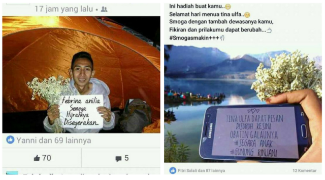 Heboh Pendaki Memetik Edelweiss di Gunung Rinjani. Pendaki Kayak Begini yang Bisa Dibilang Ndeso!