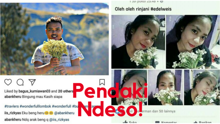 Heboh Pendaki Memetik Edelweiss di Gunung Rinjani. Pendaki Kayak Begini yang Bisa Dibilang Ndeso!