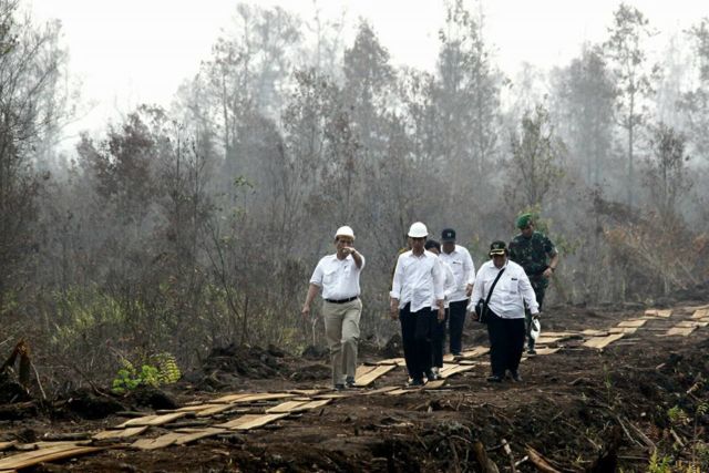 Calon Ibukota Baru Sejak Era Orde Lama, Inilah Kenapa Palangkaraya Selalu Jadi Pilihan Pertama