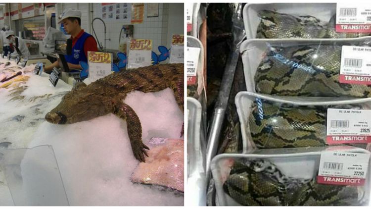 Heboh Daging Ular di Supermarket Kita, Ternyata Ada yang Lebih Seram Dijual di China