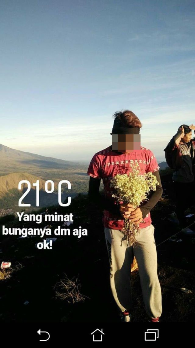 Heboh Pendaki Memetik Edelweiss di Gunung Rinjani. Pendaki Kayak Begini yang Bisa Dibilang Ndeso!