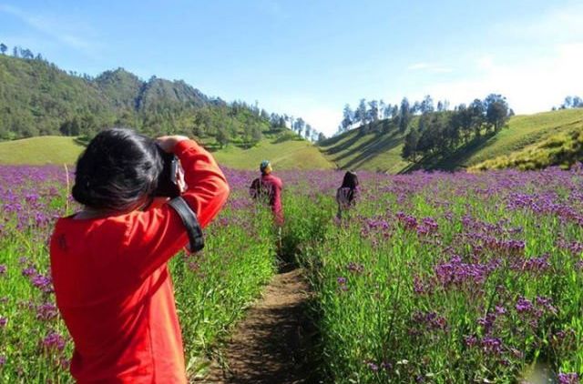 Kalau Berkesempatan Mendaki Semeru, 5 Spot Foto Ini Jangan Sampai Terlewatkan!