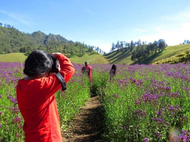 Kalau Berkesempatan Mendaki Semeru, 5 Spot Foto Ini Jangan Sampai Terlewatkan!