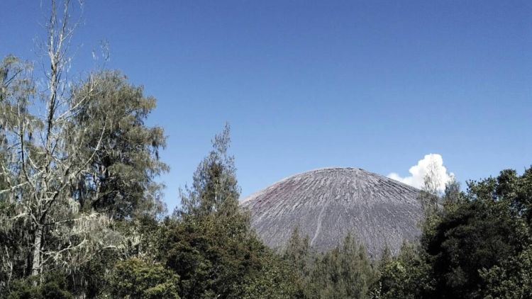 Sepenggal Kisah Perjalanan Menuju Atap Pulau Jawa