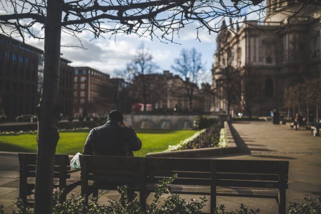 man-sitting-on-brown-wooden-bench-during-daytime