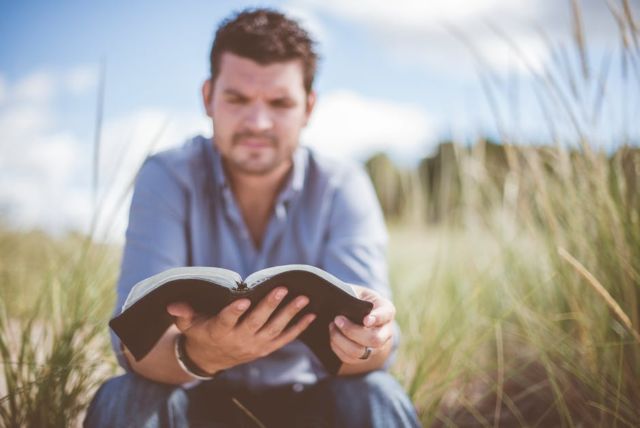 man-wearing-blue-dress-shirt-reading-book-surrounded-by-green-grass