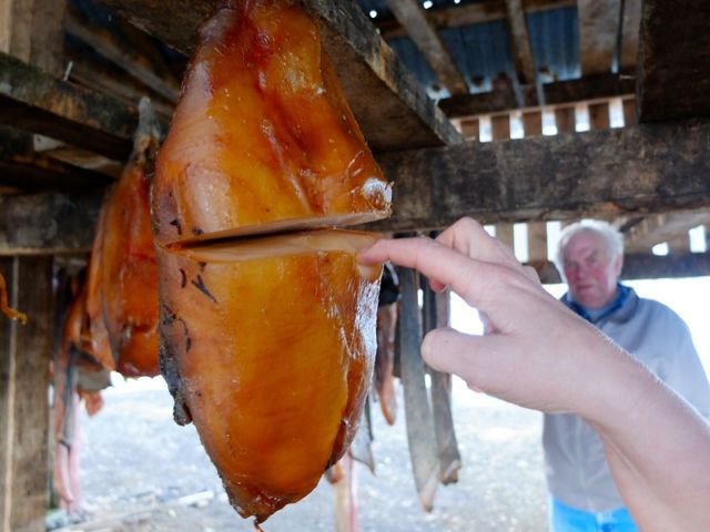 Penuh Racun & Berbahaya, Tapi Masih Aja Ada yang Mau Makan. Ini 13 Makanan Paling Beracun di Dunia