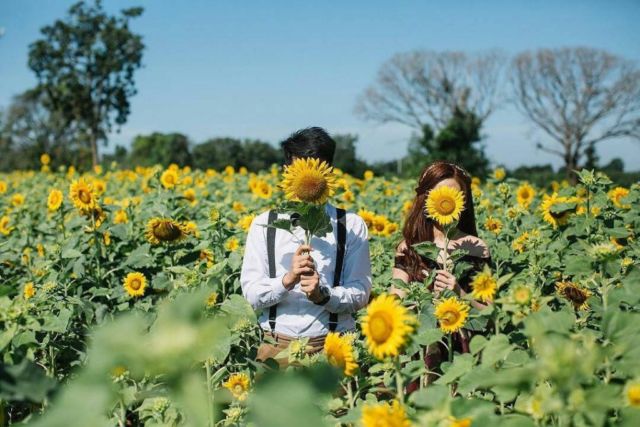 12 Destinasi Wisata Hits yang Cocok Buat Foto Pre Wedding. Aih Jadi Nggak Sabar Pengen Segera Nikah!