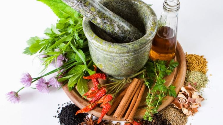 Yuk Ketahui! Fakta dari Pengobatan Herbal