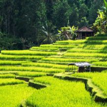 Daripada Makan Ati, Yuk Cari Tahu Teman Macam Apa yang Sebaiknya Kamu Hindari!