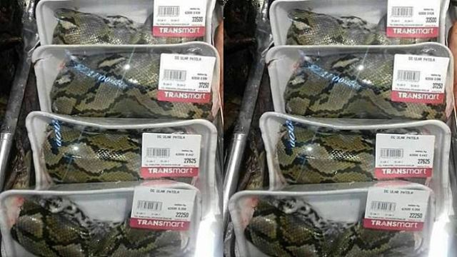 Heboh Daging Ular di Supermarket Kita, Ternyata Ada yang Lebih Seram Dijual di China