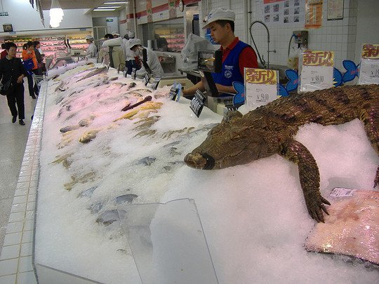 Heboh Daging Ular di Supermarket Kita, Ternyata Ada yang Lebih Seram Dijual di China