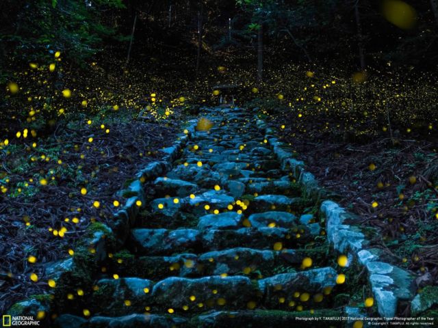 Foto Pemenang NatGeo Travel Photographer Awards. Belajarlah dari Mereka Biar Kualitas Fotomu Juara!